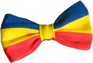 steag Romania bricolaj